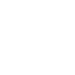 Белый логотип VK 256×256 пикселей